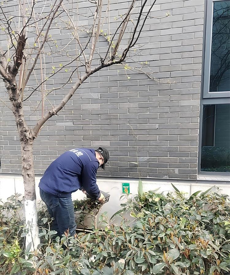 郫县三道堰除老鼠电话与专业虫害消杀服务指南