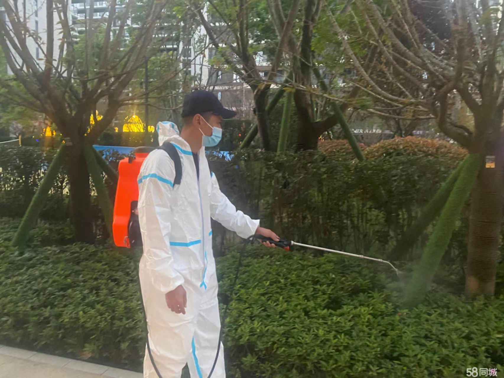 消杀消毒公司、上门除跳蚤、灭白蚁、灭跳蚤、除虫除蚁、白蚁防治、灭鼠、灭