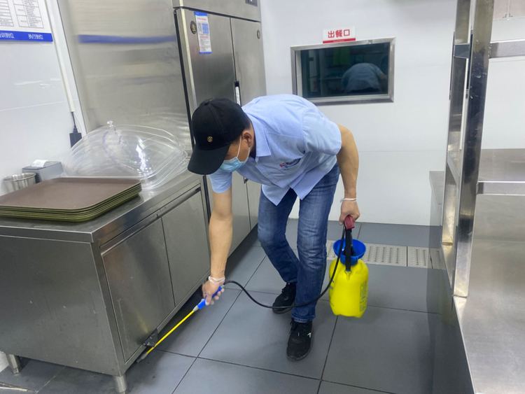 北京餐厅除蟑螂灭鼠 餐饮虫害防治蚊蝇治理 四害消杀 上门服务