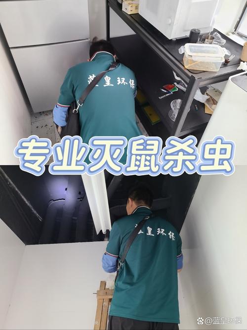 上海专业虫害防治团队闪亮登场,全方位解决您的困扰! 我们服务