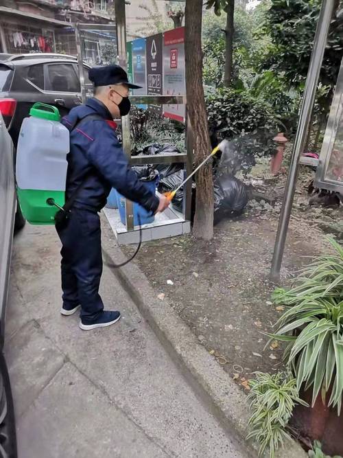 金牛区夏季老旧小区边角定点虫害消杀