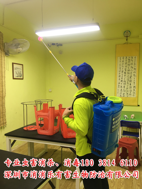 深圳消消乐专业社区四害消杀除虫灭鼠_壹佰业